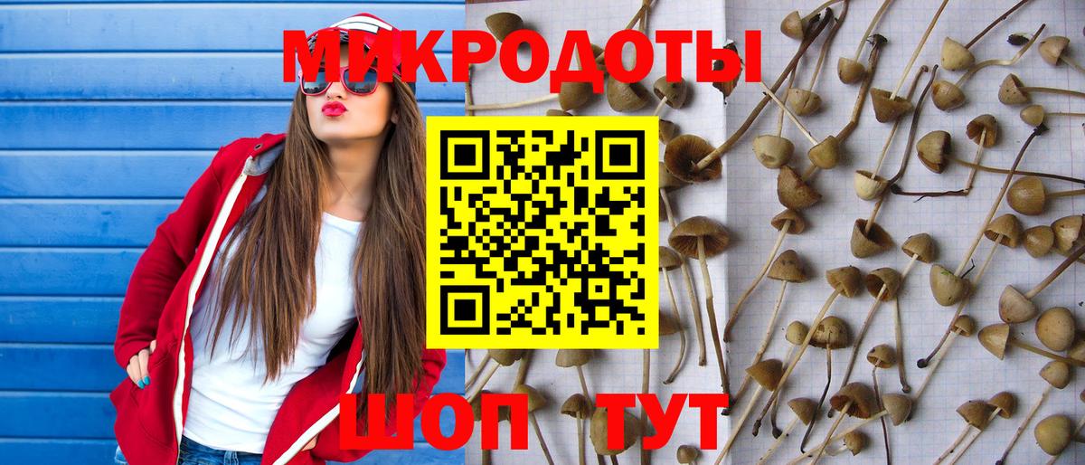 Галлюциногенные грибы Psilocybine cubensis  Вход с VPN  Октябрьский 